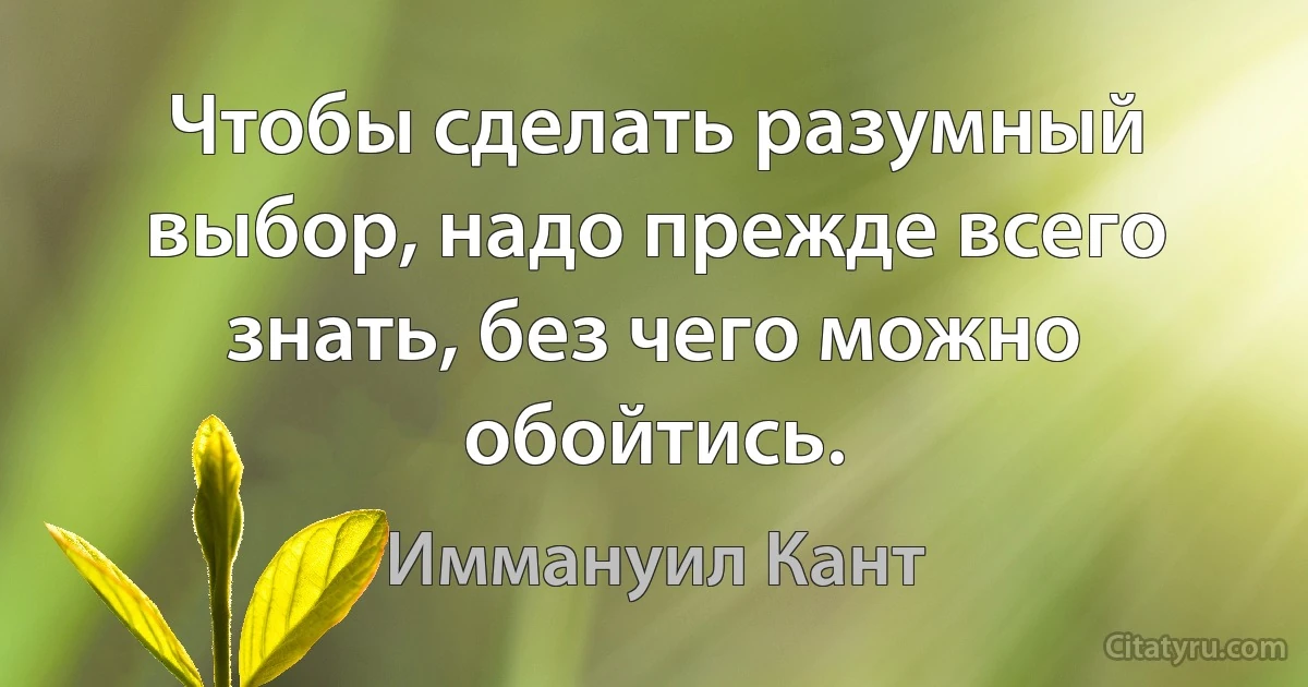 Чтобы сделать разумный выбор, надо прежде всего знать, без чего можно обойтись. (Иммануил Кант)