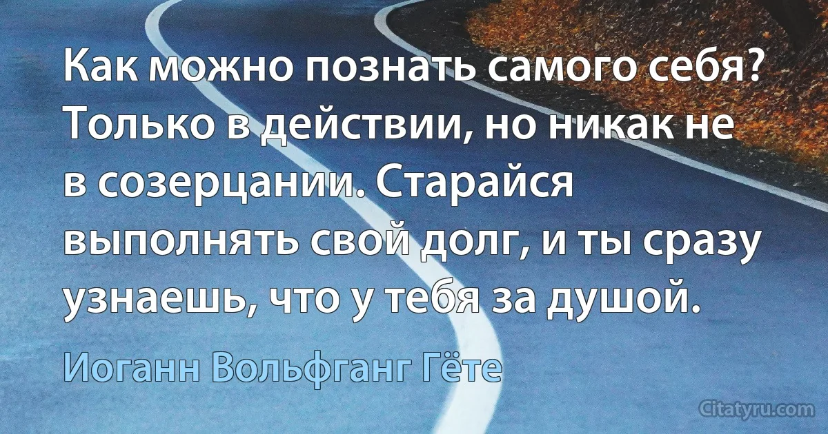 Как можно познать самого себя? Только в действии, но никак не в созерцании. Старайся выполнять свой долг, и ты сразу узнаешь, что у тебя за душой. (Иоганн Вольфганг Гёте)