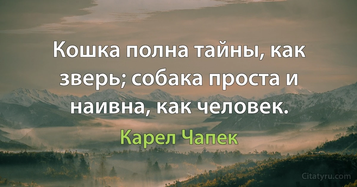 Кошка полна тайны, как зверь; собака проста и наивна, как человек. (Карел Чапек)