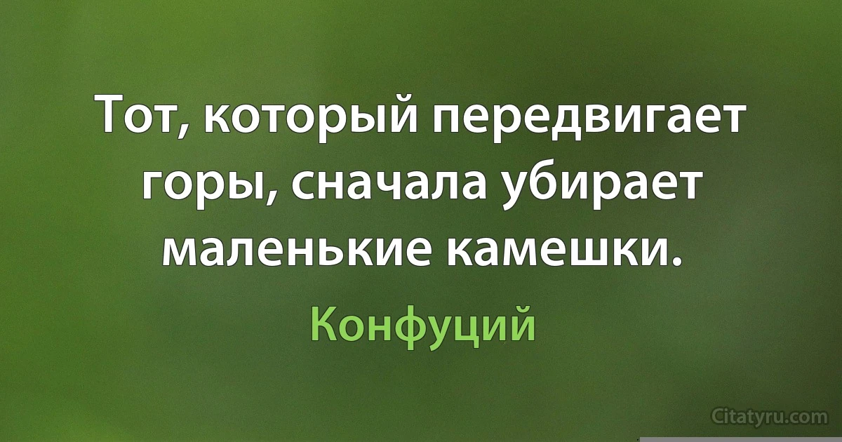 Тот, который передвигает горы, сначала убирает маленькие камешки. (Конфуций)