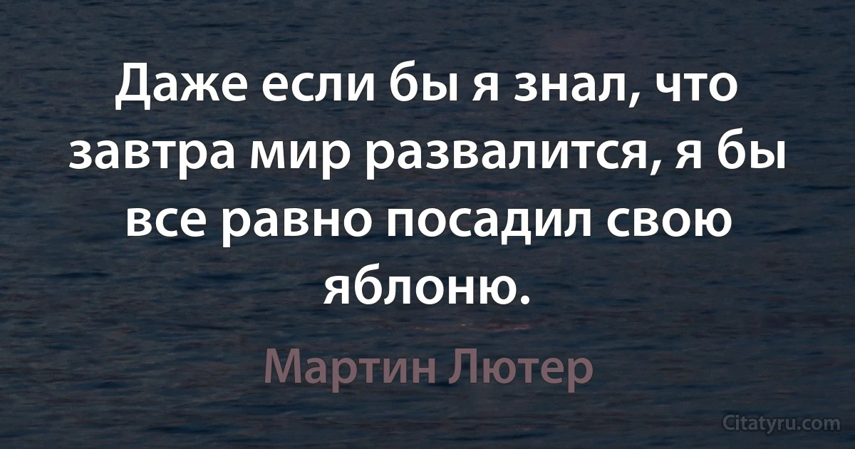 Даже если бы я знал, что завтра мир развалится, я бы все равно посадил свою яблоню. (Мартин Лютер)