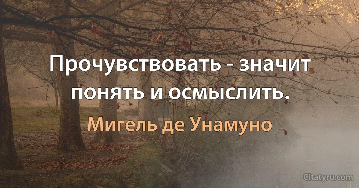 Прочувствовать - значит понять и осмыслить. (Мигель де Унамуно)