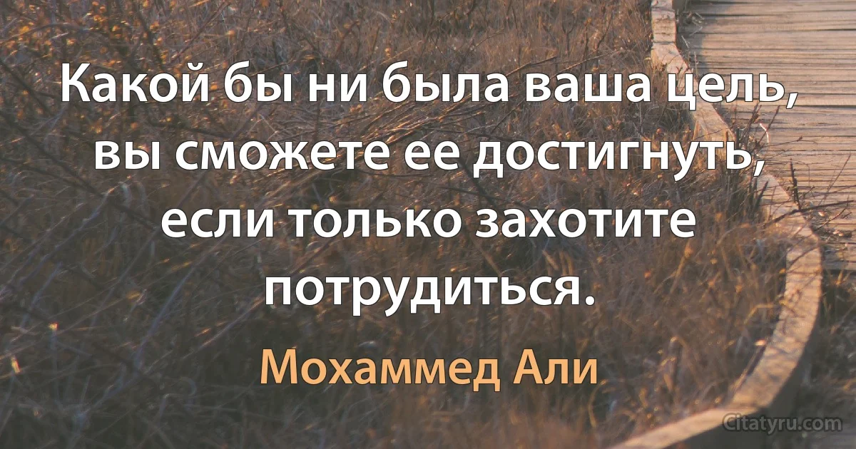 Какой бы ни была ваша цель, вы сможете ее достигнуть, если только захотите потрудиться. (Мохаммед Али)