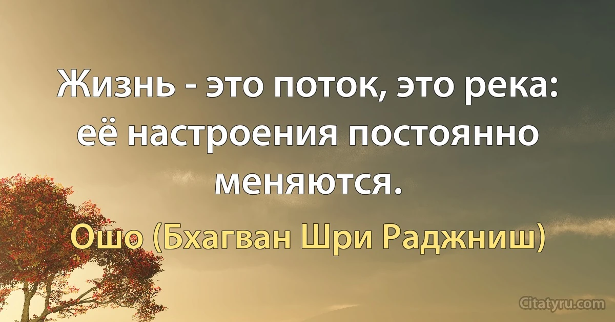 Жизнь - это поток, это река: её настроения постоянно меняются. (Ошо (Бхагван Шри Раджниш))