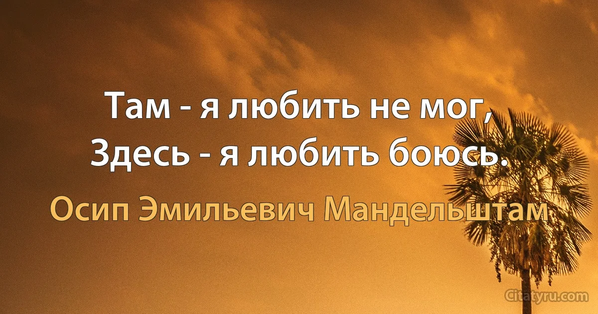 Там - я любить не мог,
Здесь - я любить боюсь. (Осип Эмильевич Мандельштам)