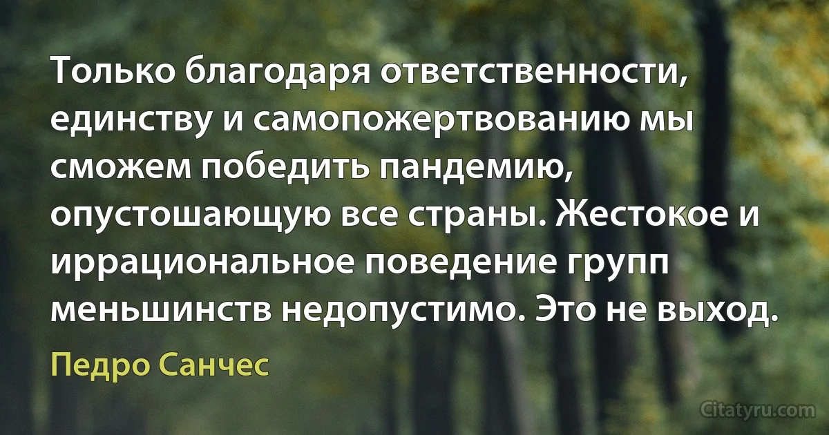 Только благодаря ответственности, единству и самопожертвованию мы сможем победить пандемию, опустошающую все страны. Жестокое и иррациональное поведение групп меньшинств недопустимо. Это не выход. (Педро Санчес)