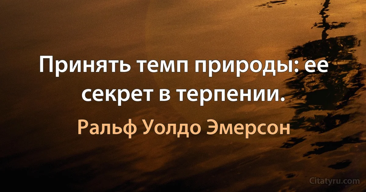 Принять темп природы: ее секрет в терпении. (Ральф Уолдо Эмерсон)