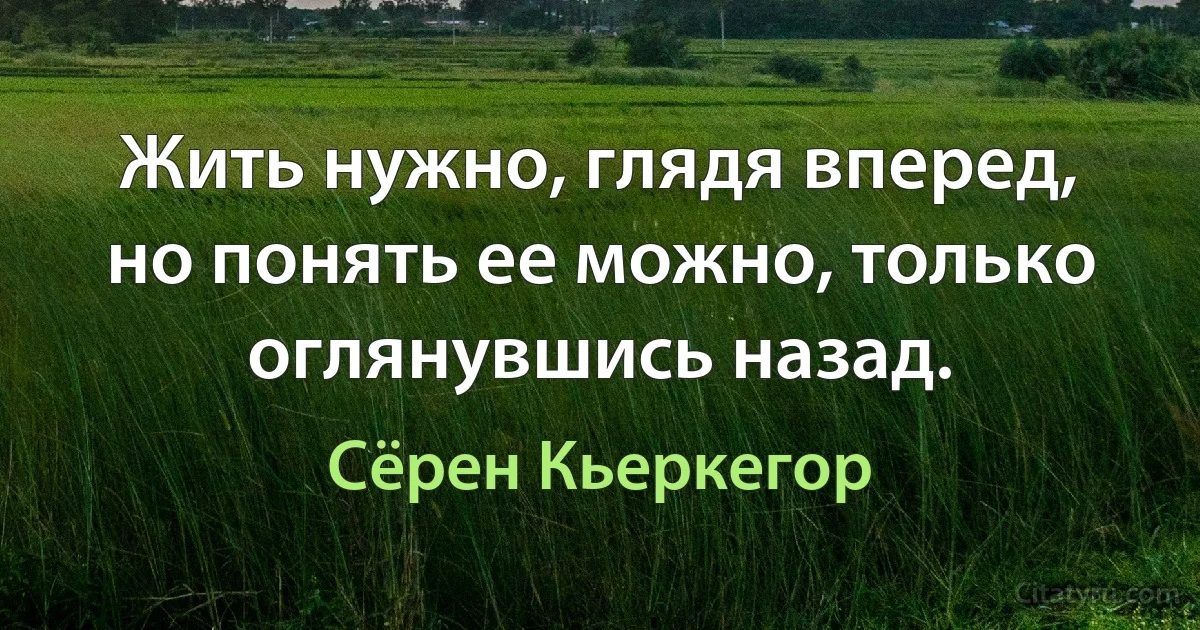 Жить нужно, глядя вперед, но понять ее можно, только оглянувшись назад. (Сёрен Кьеркегор)