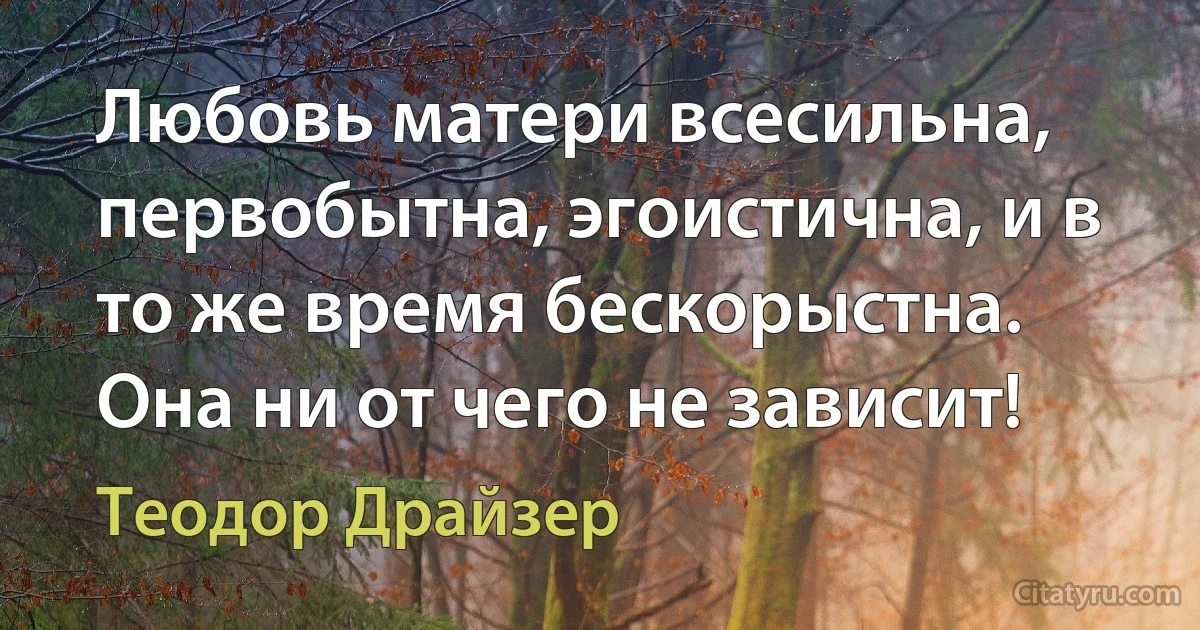 Любовь матери всесильна, первобытна, эгоистична, и в то же время бескорыстна. Она ни от чего не зависит! (Теодор Драйзер)