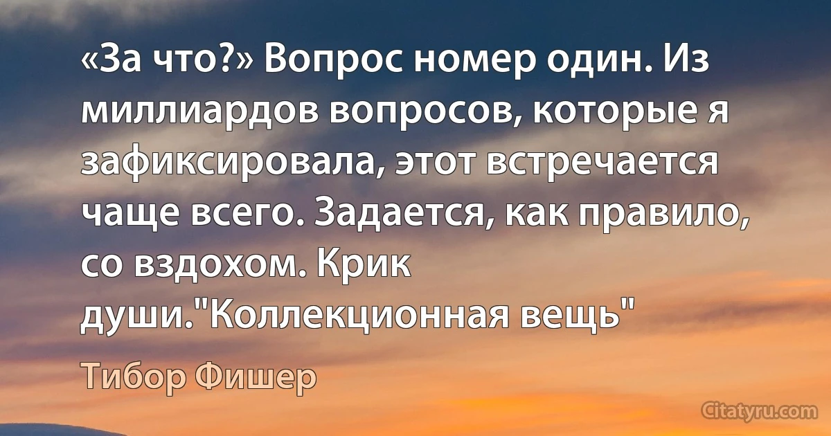 «За что?» Вопрос номер один. Из миллиардов вопросов, которые я зафиксировала, этот встречается чаще всего. Задается, как правило, со вздохом. Крик души."Коллекционная вещь" (Тибор Фишер)