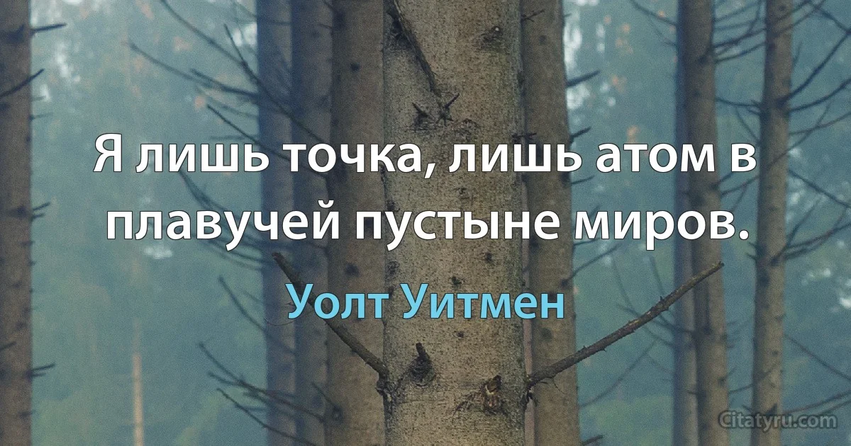 Я лишь точка, лишь атом в плавучей пустыне миров. (Уолт Уитмен)