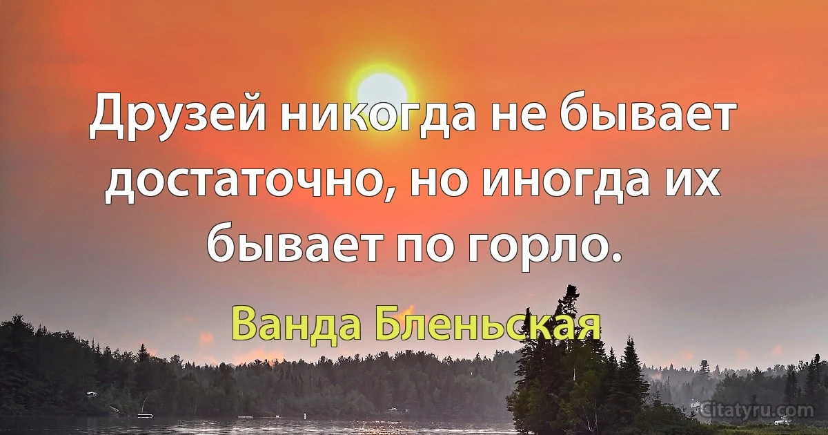 Друзей никогда не бывает достаточно, но иногда их бывает по горло. (Ванда Бленьская)