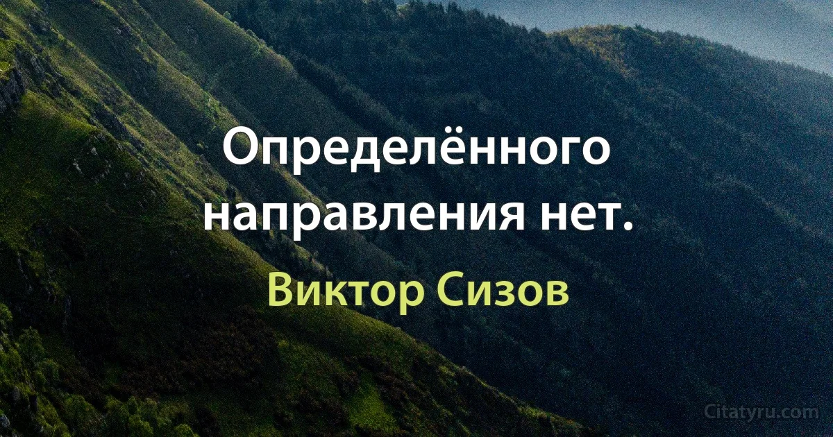 Определённого направления нет. (Виктор Сизов)