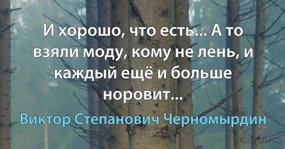 И хорошо, что есть... А то взяли моду, кому не лень, и каждый ещё и больше норовит... (Виктор Степанович Черномырдин)