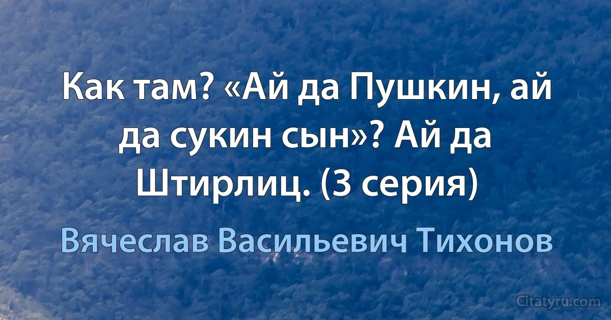 Как там? «Ай да Пушкин, ай да сукин сын»? Ай да Штирлиц. (3 серия) (Вячеслав Васильевич Тихонов)