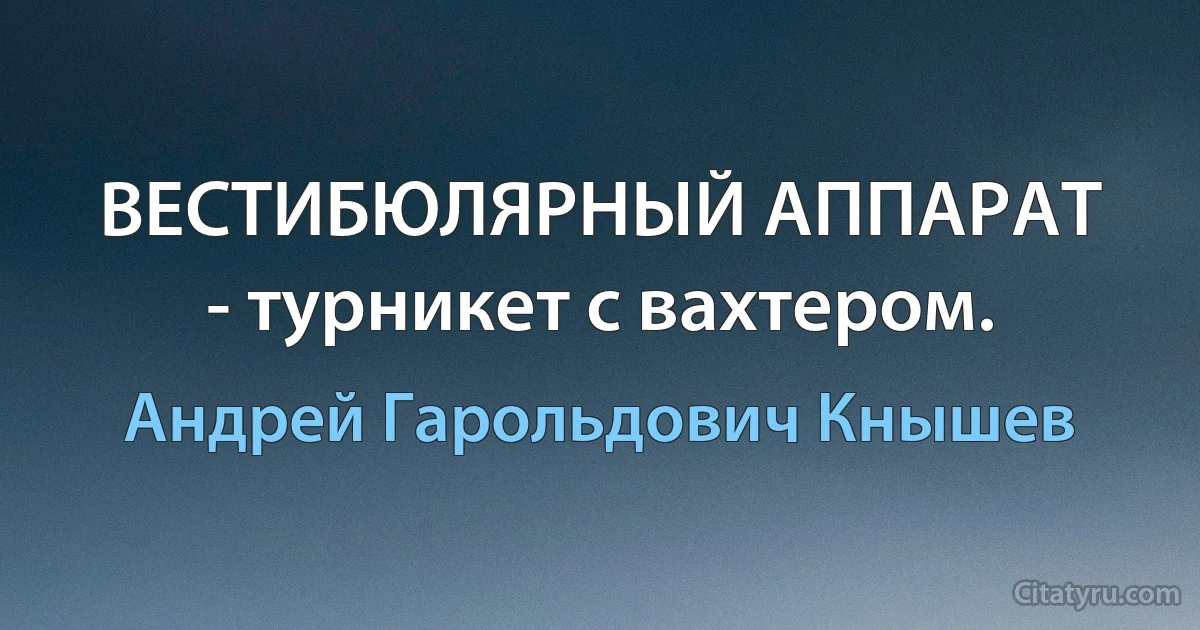 ВЕСТИБЮЛЯРНЫЙ АППАРАТ - турникет с вахтером. (Андрей Гарольдович Кнышев)