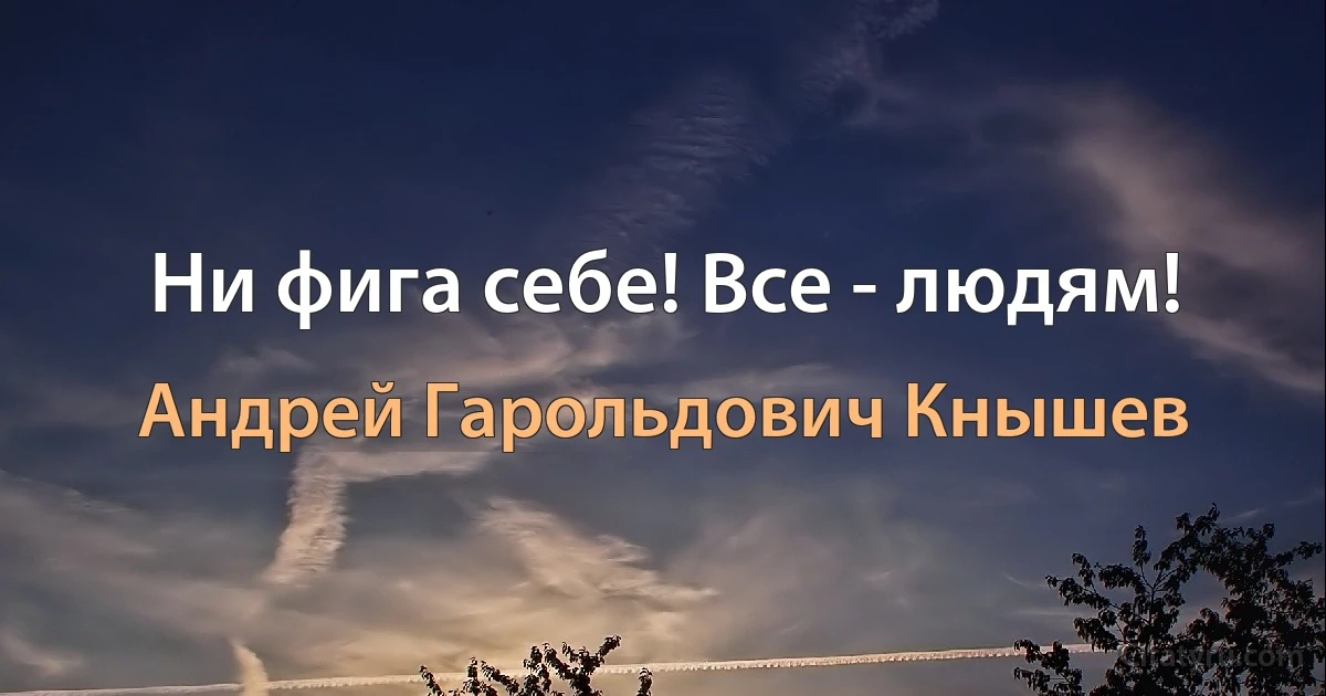 Ни фига себе! Все - людям! (Андрей Гарольдович Кнышев)