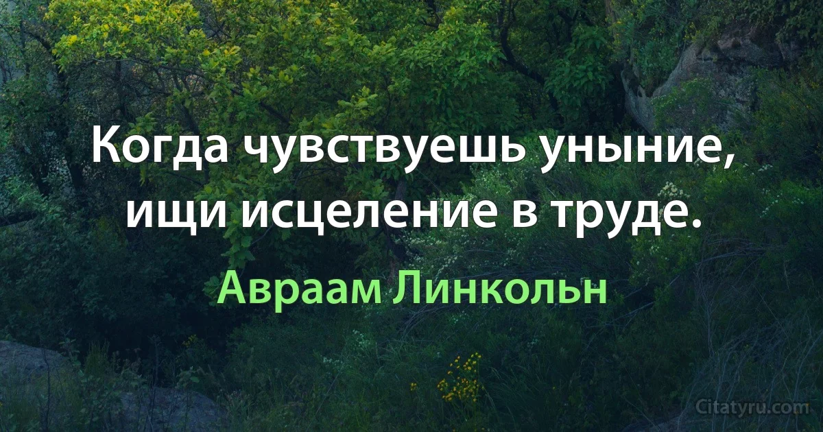 Когда чувствуешь уныние, ищи исцеление в труде. (Авраам Линкольн)