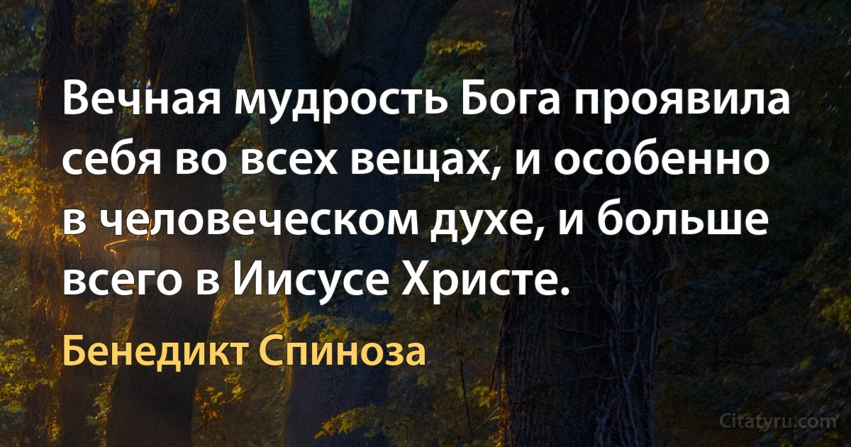 Вечная мудрость Бога проявила себя во всех вещах, и особенно в человеческом духе, и больше всего в Иисусе Христе. (Бенедикт Спиноза)