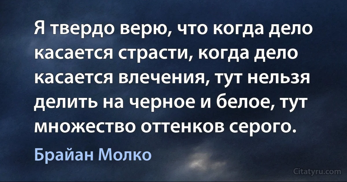 Я твердо верю, что когда дело касается страсти, когда дело касается влечения, тут нельзя делить на черное и белое, тут множество оттенков серого. (Брайан Молко)