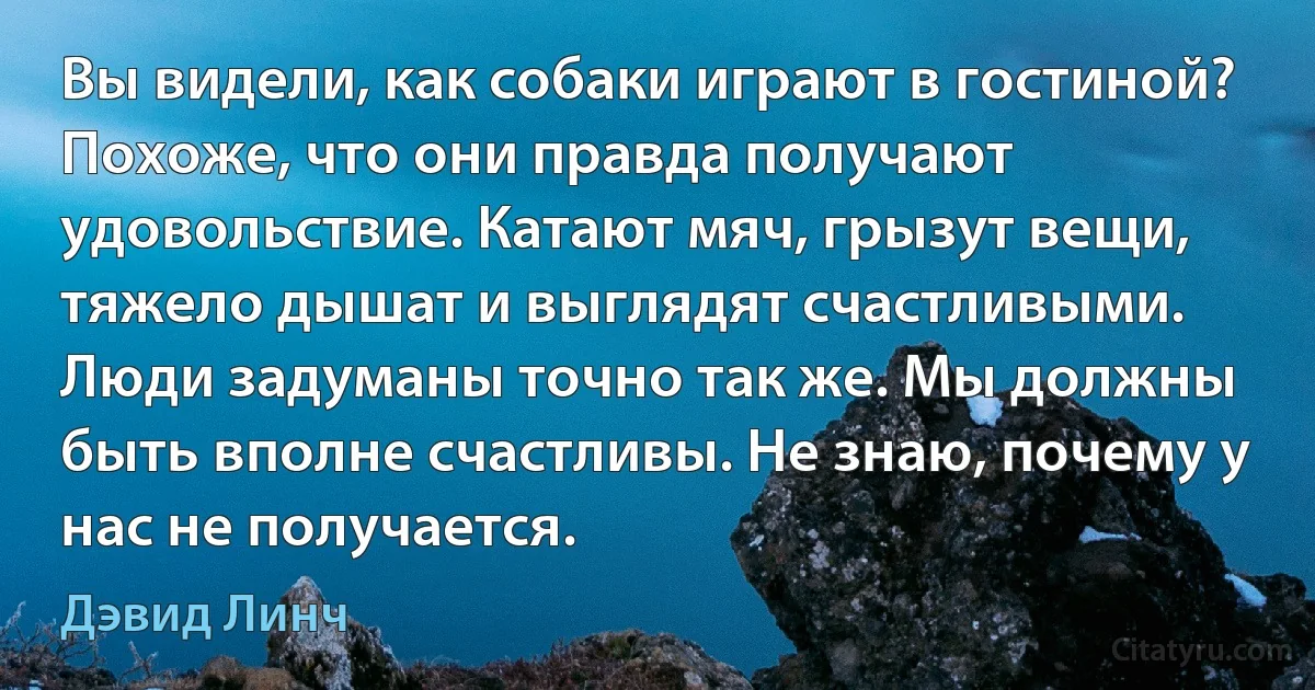 Вы видели, как собаки играют в гостиной? Похоже, что они правда получают удовольствие. Катают мяч, грызут вещи, тяжело дышат и выглядят счастливыми. Люди задуманы точно так же. Мы должны быть вполне счастливы. Не знаю, почему у нас не получается. (Дэвид Линч)