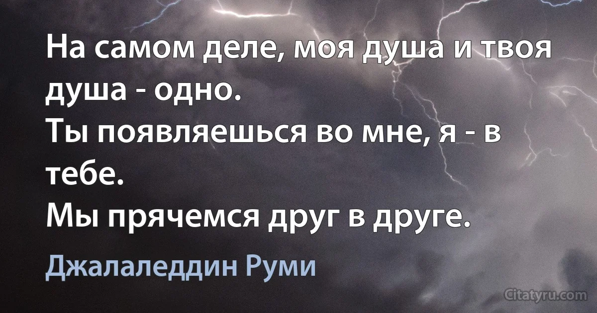 На самом деле, моя душа и твоя душа - одно.
Ты появляешься во мне, я - в тебе.
Мы прячемся друг в друге. (Джалаледдин Руми)