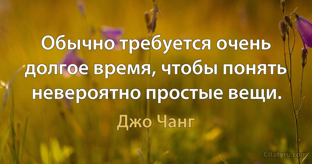 Обычно требуется очень долгое время, чтобы понять невероятно простые вещи. (Джо Чанг)