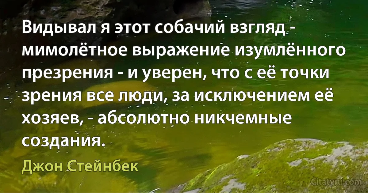 Видывал я этот собачий взгляд - мимолётное выражение изумлённого презрения - и уверен, что с её точки зрения все люди, за исключением её хозяев, - абсолютно никчемные создания. (Джон Стейнбек)