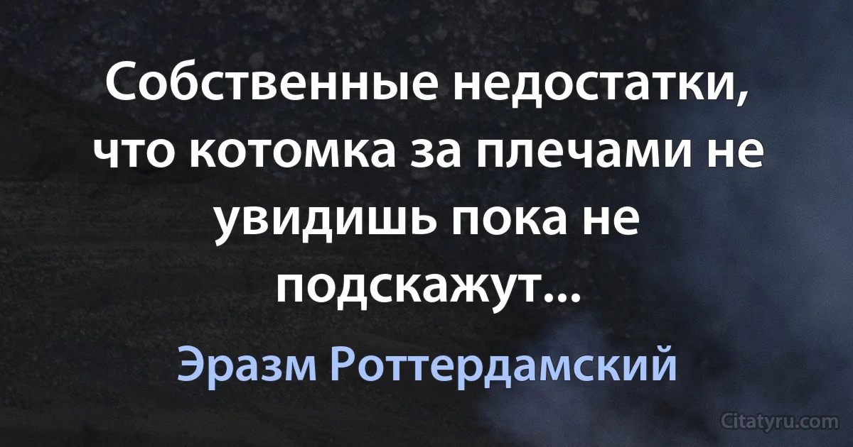 Собственные недостатки, что котомка за плечами не увидишь пока не подскажут... (Эразм Роттердамский)