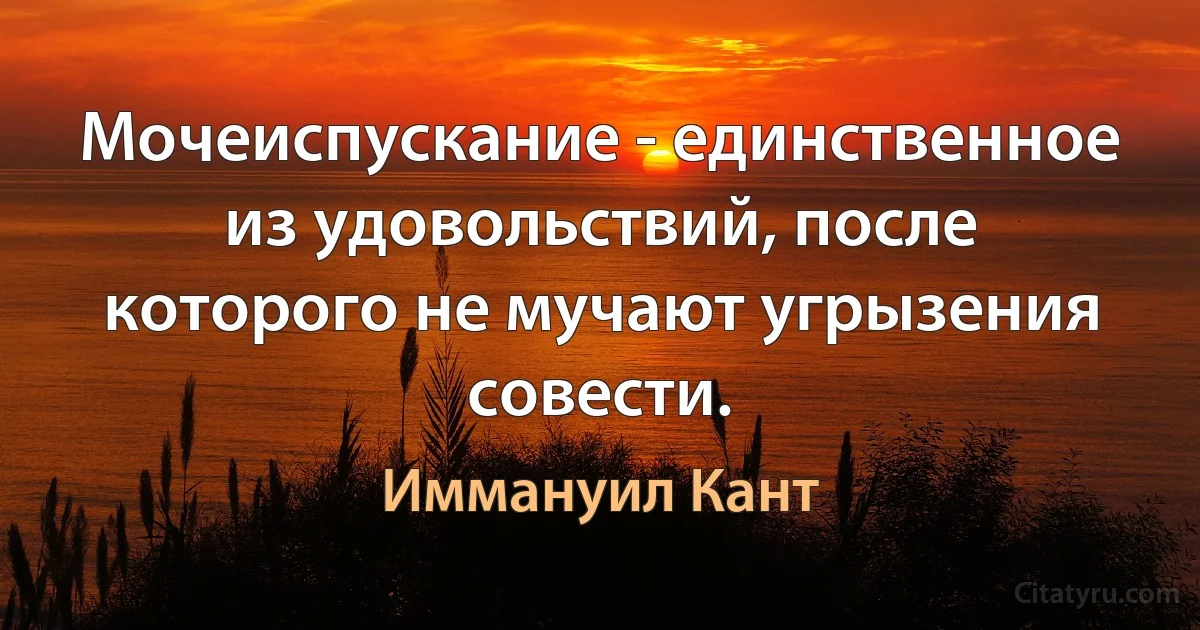 Мочеиспускание - единственное из удовольствий, после которого не мучают угрызения совести. (Иммануил Кант)