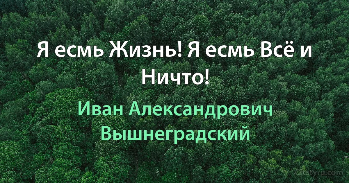 Я есмь Жизнь! Я есмь Всё и Ничто! (Иван Александрович Вышнеградский)