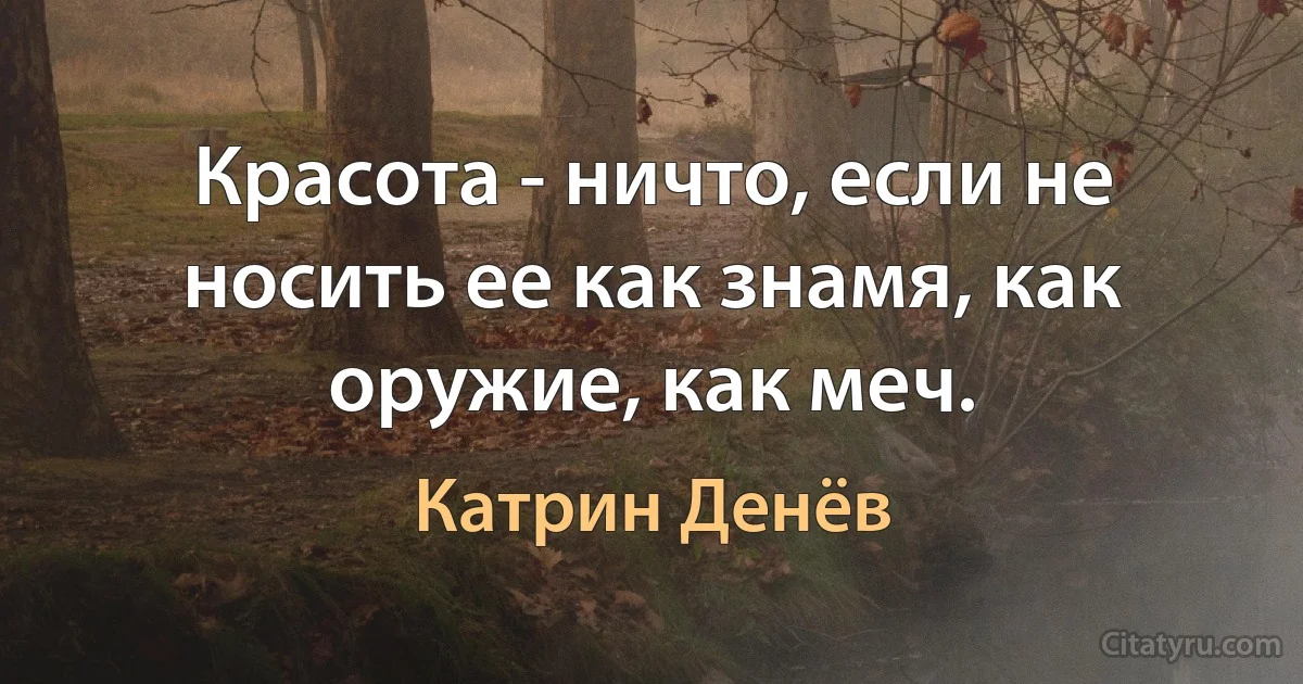 Красота - ничто, если не носить ее как знамя, как оружие, как меч. (Катрин Денёв)