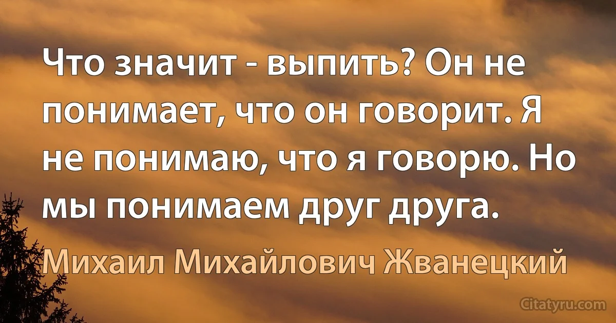 Что значит - выпить? Он не понимает, что он говорит. Я не понимаю, что я говорю. Но мы понимаем друг друга. (Михаил Михайлович Жванецкий)