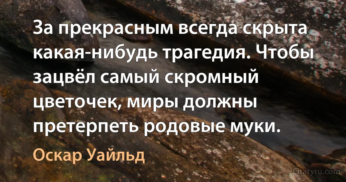 За прекрасным всегда скрыта какая-нибудь трагедия. Чтобы зацвёл самый скромный цветочек, миры должны претерпеть родовые муки. (Оскар Уайльд)