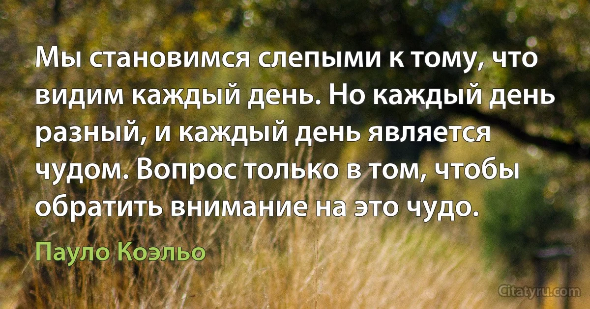 Мы становимся слепыми к тому, что видим каждый день. Но каждый день разный, и каждый день является чудом. Вопрос только в том, чтобы обратить внимание на это чудо. (Пауло Коэльо)