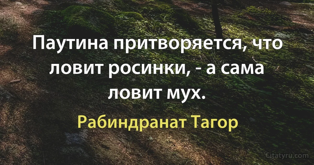 Паутина притворяется, что ловит росинки, - а сама ловит мух. (Рабиндранат Тагор)