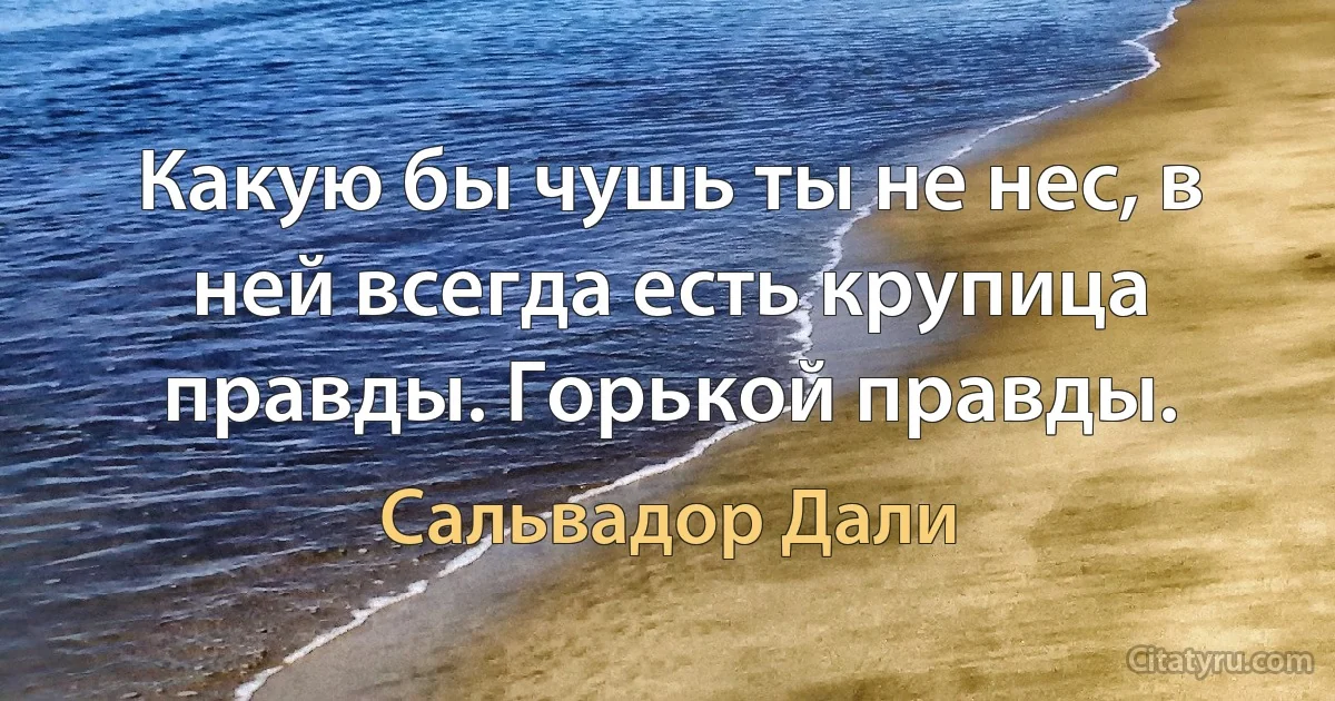 Какую бы чушь ты не нес, в ней всегда есть крупица правды. Горькой правды. (Сальвадор Дали)