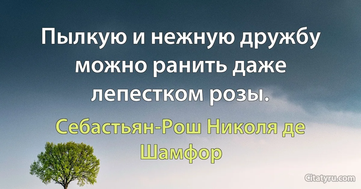 Пылкую и нежную дружбу можно ранить даже лепестком розы. (Себастьян-Рош Николя де Шамфор)