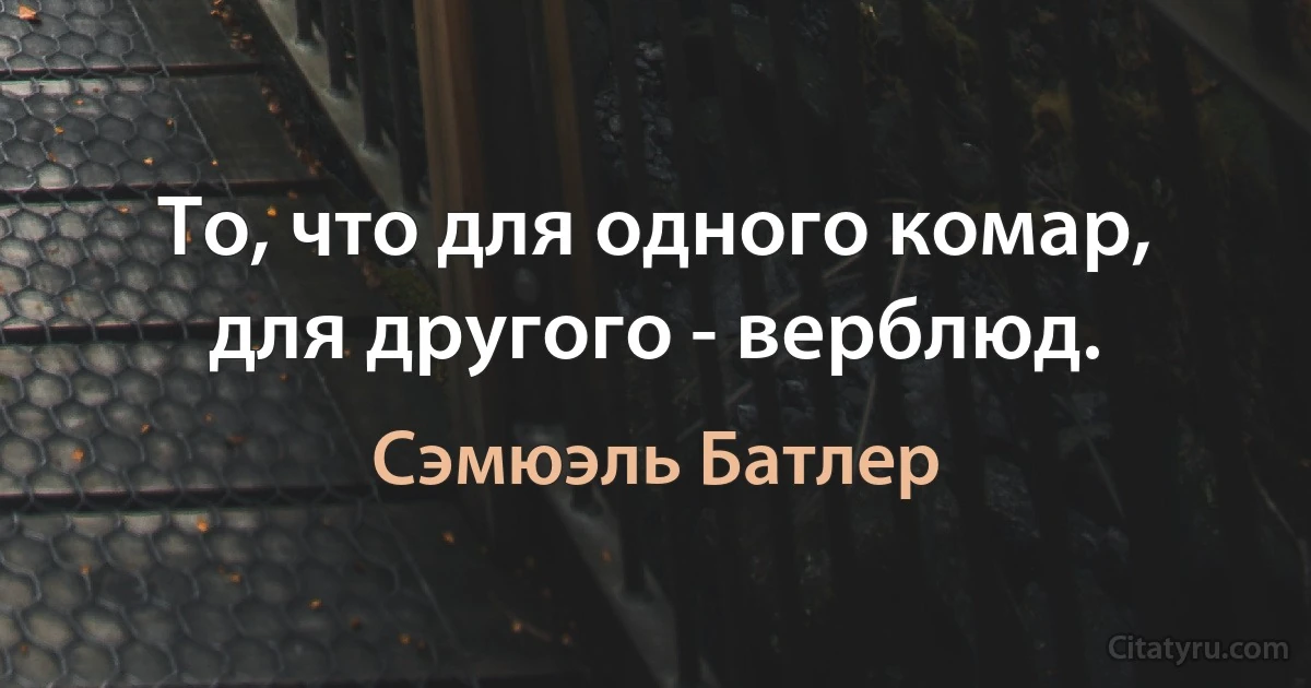 То, что для одного комар, для другого - верблюд. (Сэмюэль Батлер)