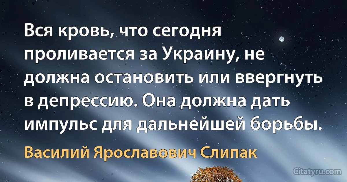 Вся кровь, что сегодня проливается за Украину, не должна остановить или ввергнуть в депрессию. Она должна дать импульс для дальнейшей борьбы. (Василий Ярославович Слипак)