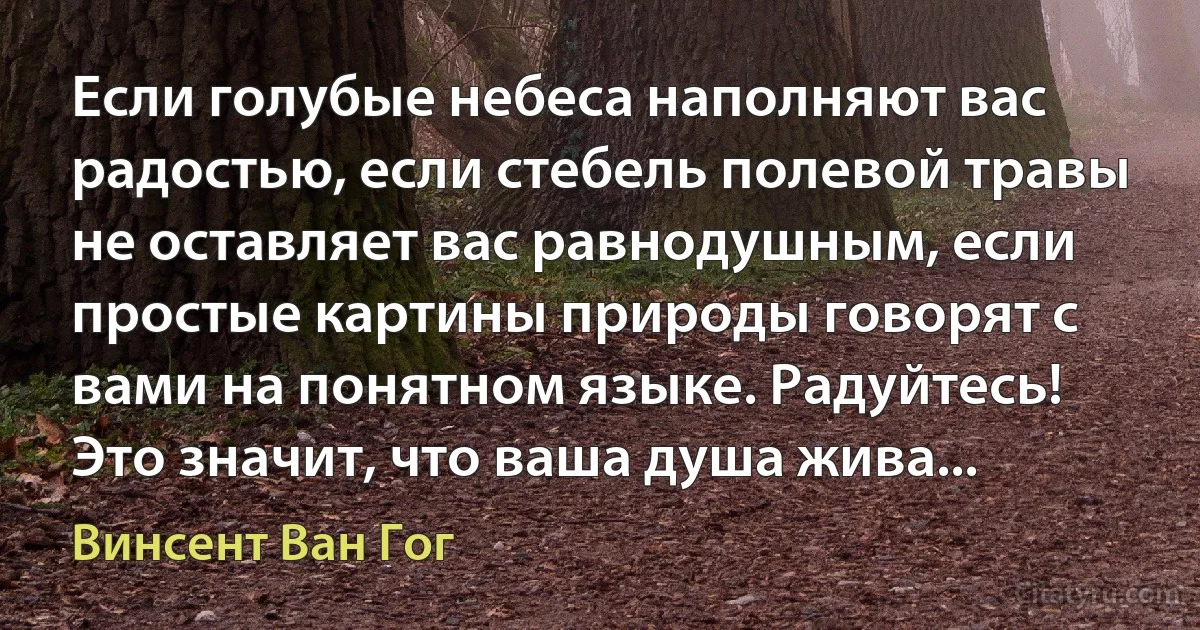 Если голубые небеса наполняют вас радостью, если стебель полевой травы не оставляет вас равнодушным, если простые картины природы говорят с вами на понятном языке. Радуйтесь! Это значит, что ваша душа жива... (Винсент Ван Гог)