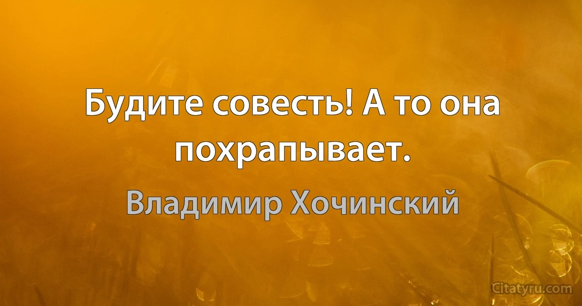 Будите совесть! А то она похрапывает. (Владимир Хочинский)