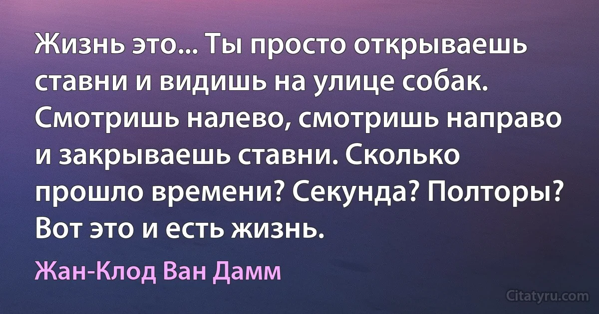 Жизнь это... Ты просто открываешь ставни и видишь на улице собак. Смотришь налево, смотришь направо и закрываешь ставни. Сколько прошло времени? Секунда? Полторы? Вот это и есть жизнь. (Жан-Клод Ван Дамм)