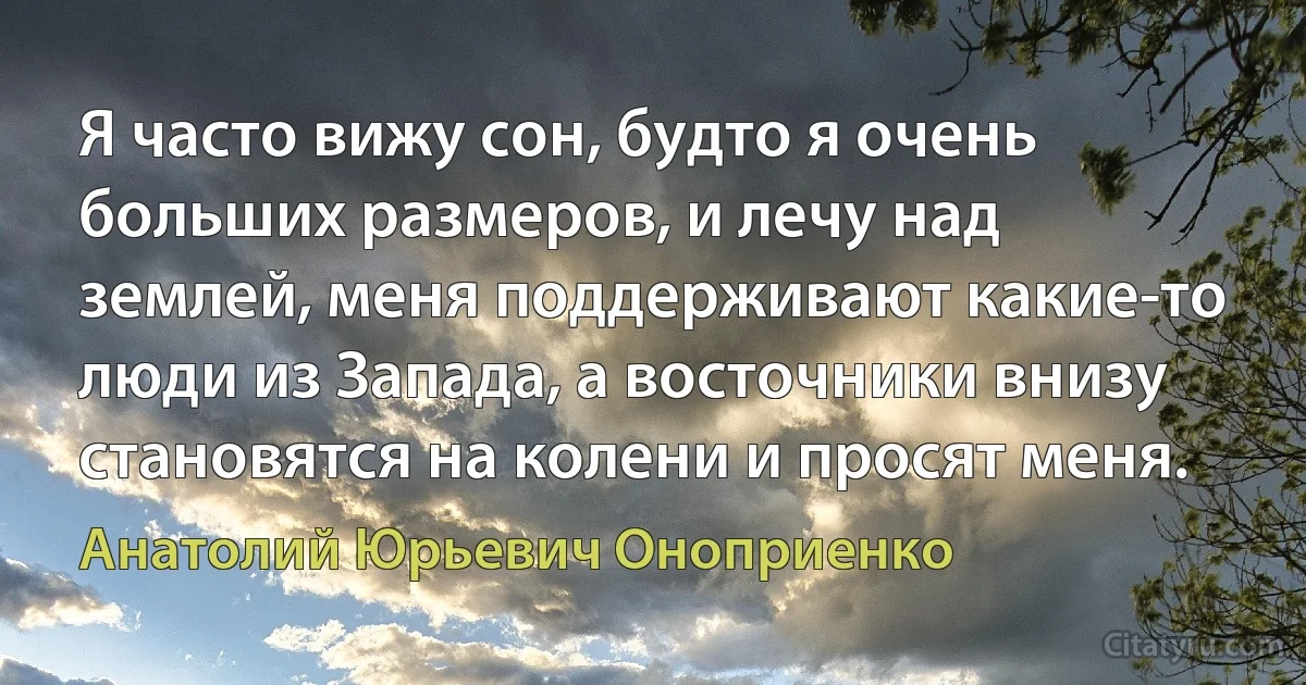 Я часто вижу сон, будто я очень больших размеров, и лечу над землей, меня поддерживают какие-то люди из Запада, а восточники внизу становятся на колени и просят меня. (Анатолий Юрьевич Оноприенко)