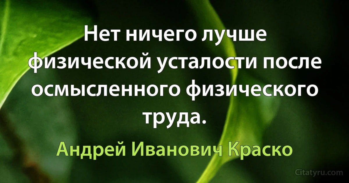 Нет ничего лучше физической усталости после осмысленного физического труда. (Андрей Иванович Краско)