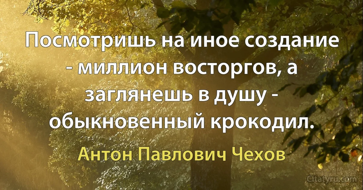 Посмотришь на иное создание - миллион восторгов, а заглянешь в душу - обыкновенный крокодил. (Антон Павлович Чехов)