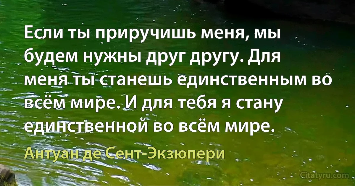 Если ты приручишь меня, мы будем нужны друг другу. Для меня ты станешь единственным во всём мире. И для тебя я стану единственной во всём мире. (Антуан де Сент-Экзюпери)