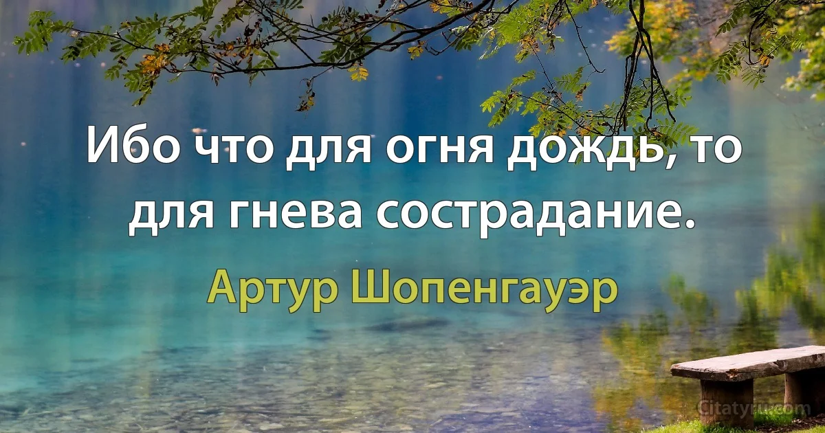 Ибо что для огня дождь, то для гнева сострадание. (Артур Шопенгауэр)