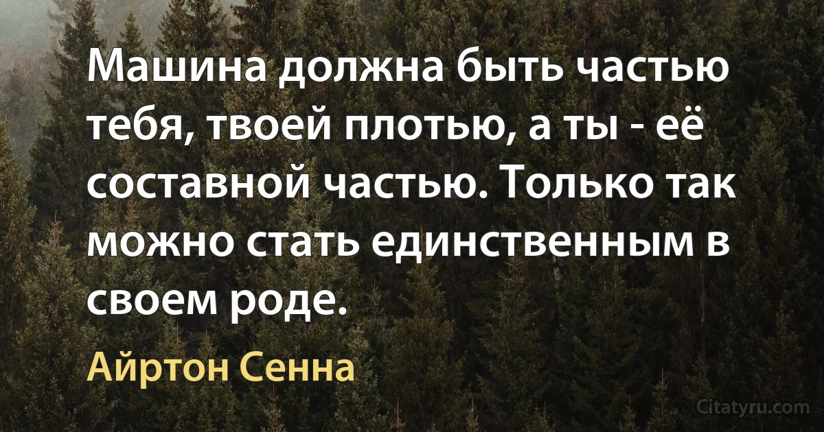 Машина должна быть частью тебя, твоей плотью, а ты - её составной частью. Только так можно стать единственным в своем роде. (Айртон Сенна)