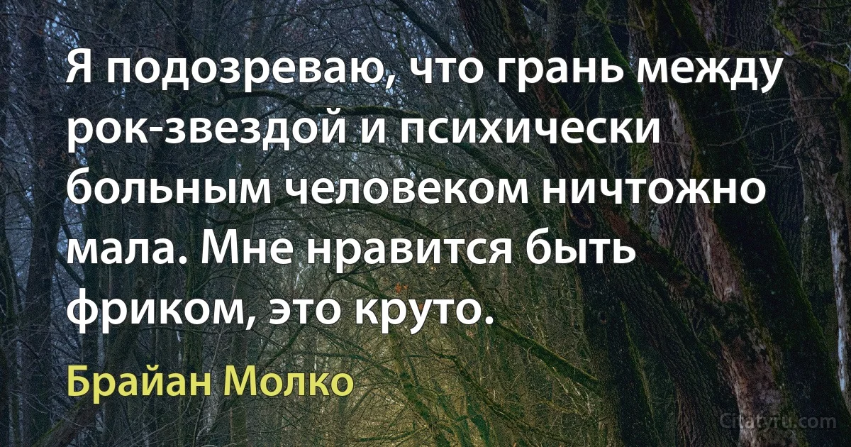 Я подозреваю, что грань между рок-звездой и психически больным человеком ничтожно мала. Мне нравится быть фриком, это круто. (Брайан Молко)